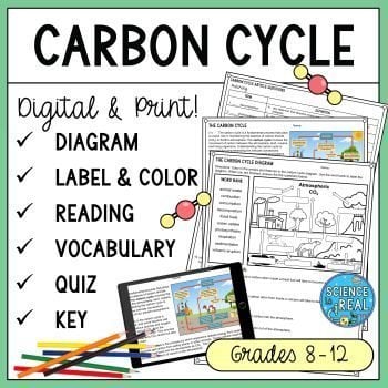 Carbon Cycle Reading Comprehension