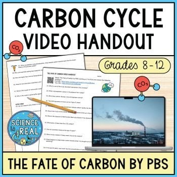 carbon cycle video handout