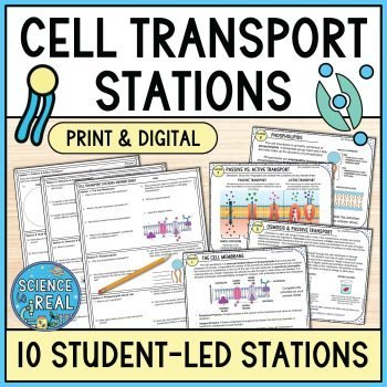 cell transport stations