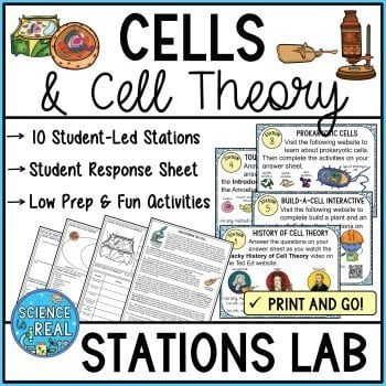 cells stations