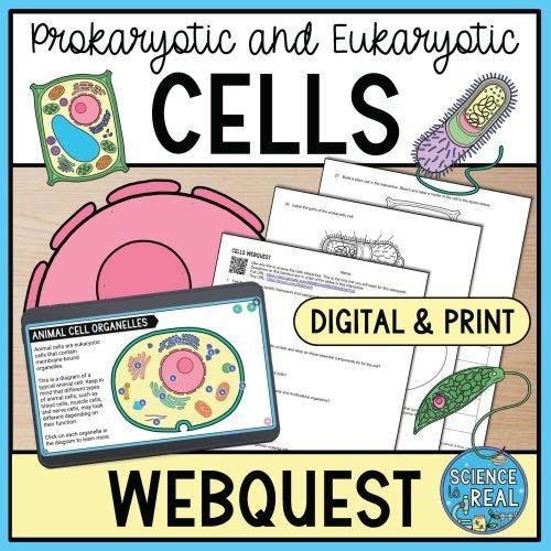 Cells Webquest