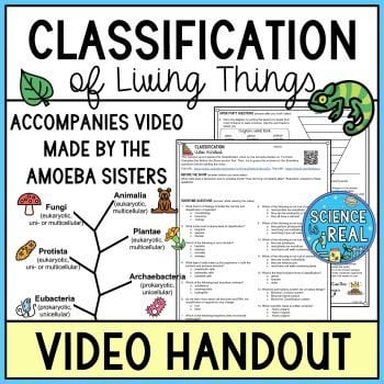 classification amoeba sisters video handout