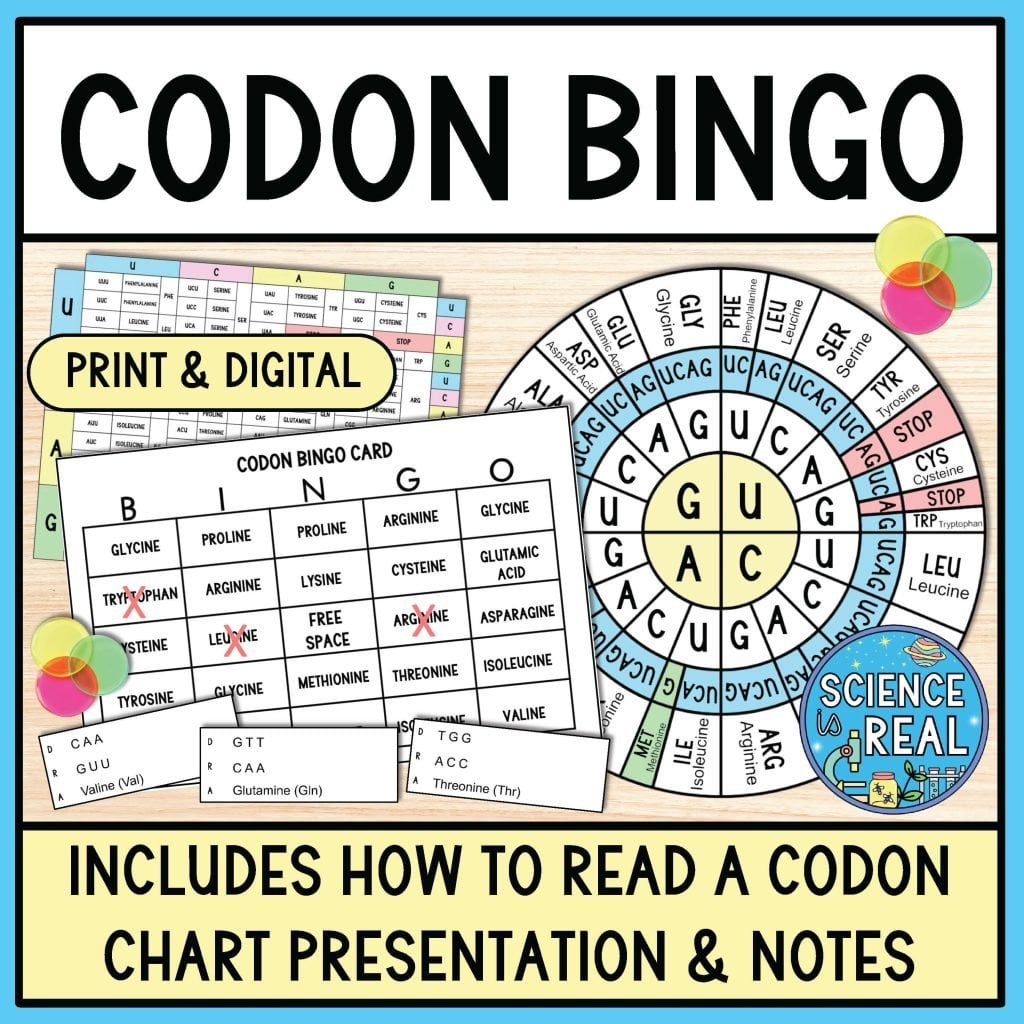 codon bingo game