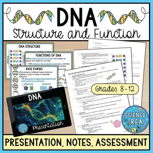 DNA PowerPoint