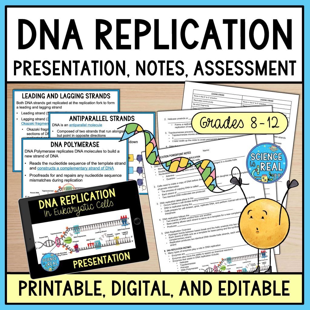dna replication powerpoint