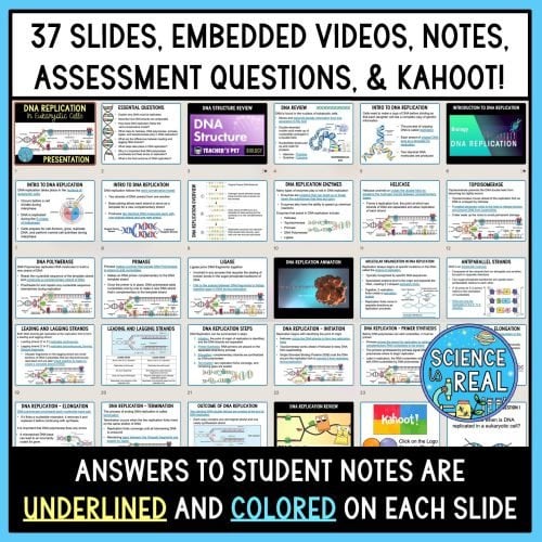 dna replication powerpoint
