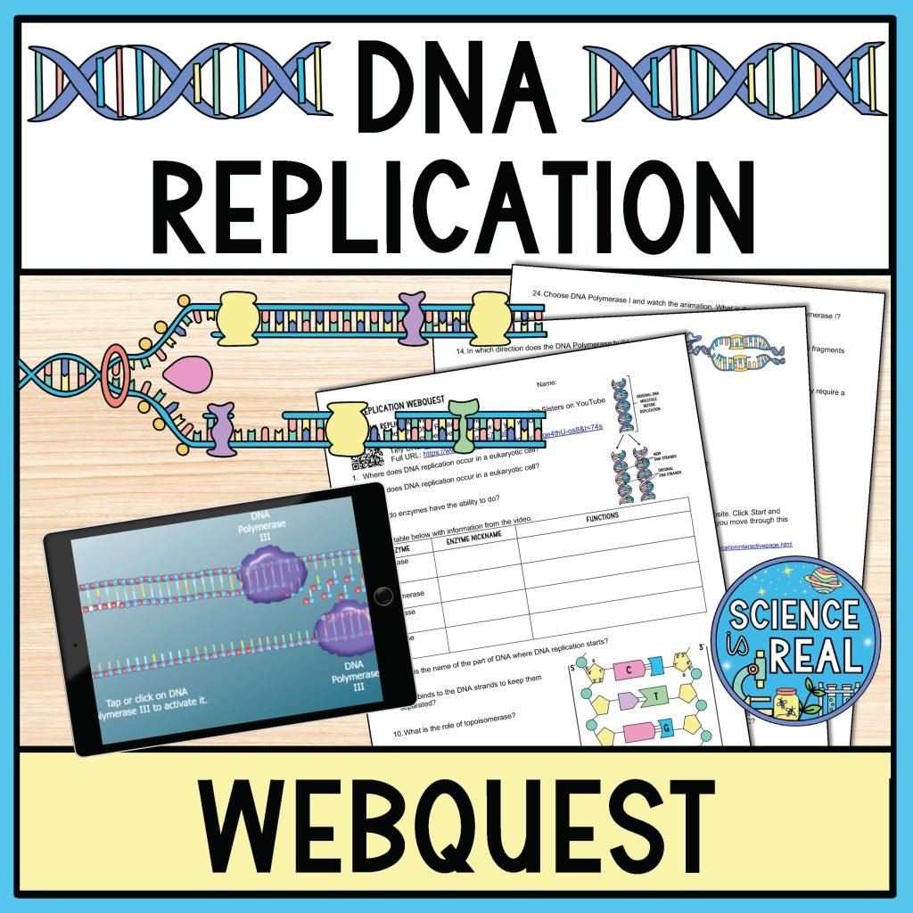 DNA replication webquest