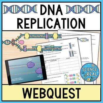 DNA replication webquest