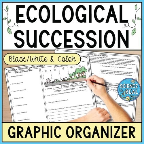 ecological succession graphic organizer