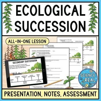 Ecological Succession PowerPoint