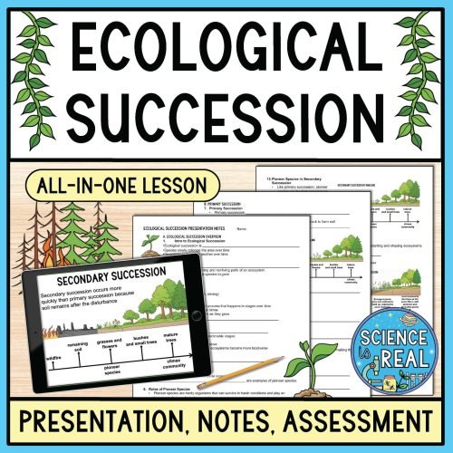 Ecological Succession PowerPoint
