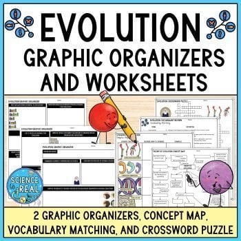evolution graphic organizer