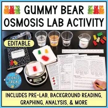 Gummy Bear Osmosis Lab