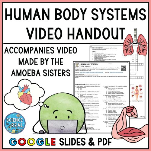 human body systems amoeba sisters video handout