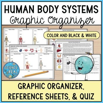 human body systems graphic organizer
