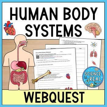human body systems webquest