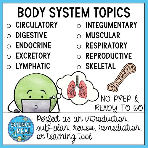 human body systems webquest