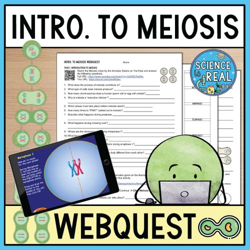 intro to meiosis webquest
