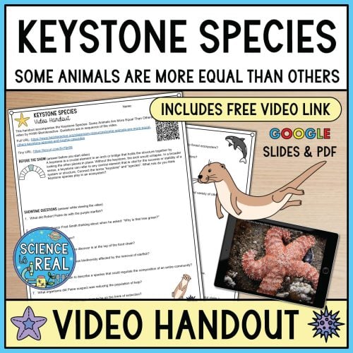 Keystone Species Video Handout