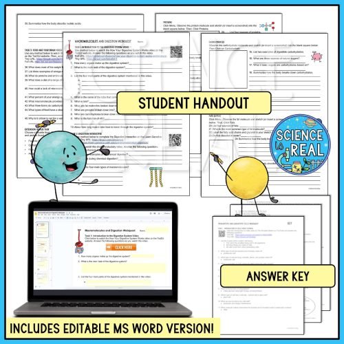 macromolecules and digestion webquest