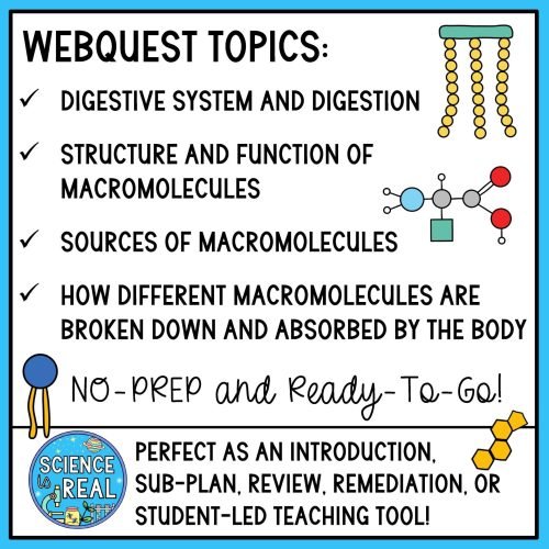 macromolecules and digestion webquest