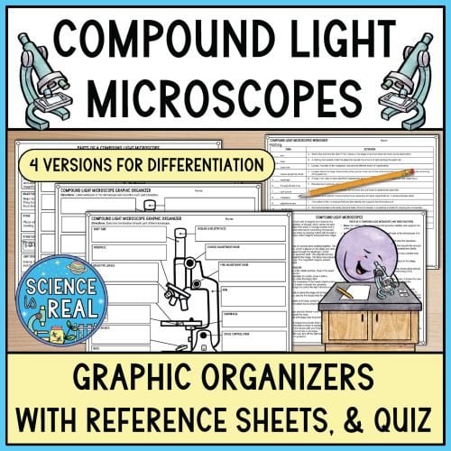 microscope graphic organizer