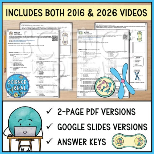 Mitosis Amoeba Sisters Video Handout