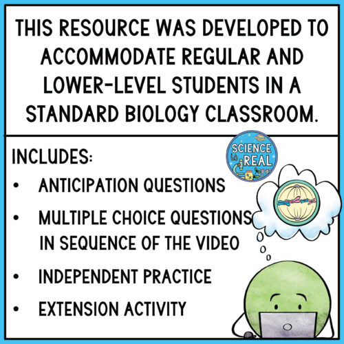 Mitosis Amoeba Sisters Video Handout