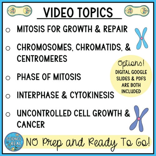 Mitosis Amoeba Sisters Video Handout