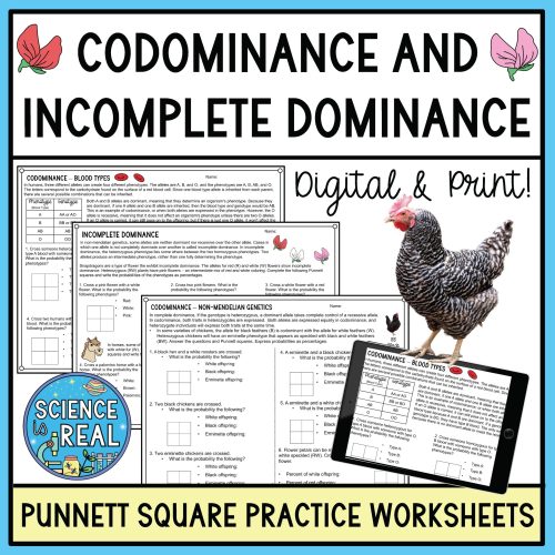 Codominance and Incomplete Dominance Punnett Squares Worksheets