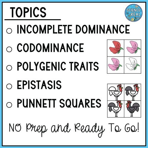 incomplete dominance codominance Incomplete Dominance and Codominance Amoeba Sisters Video Handout sisters handout recap