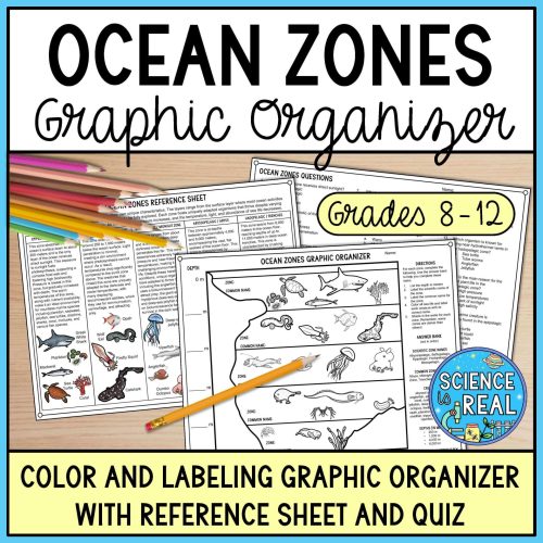 ocean zones graphic organizer