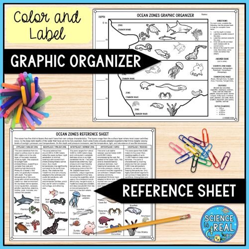 ocean zones graphic organizer