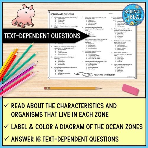 ocean zones graphic organizer