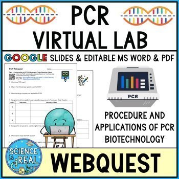 PCR Webquest PCR Virtual Lab