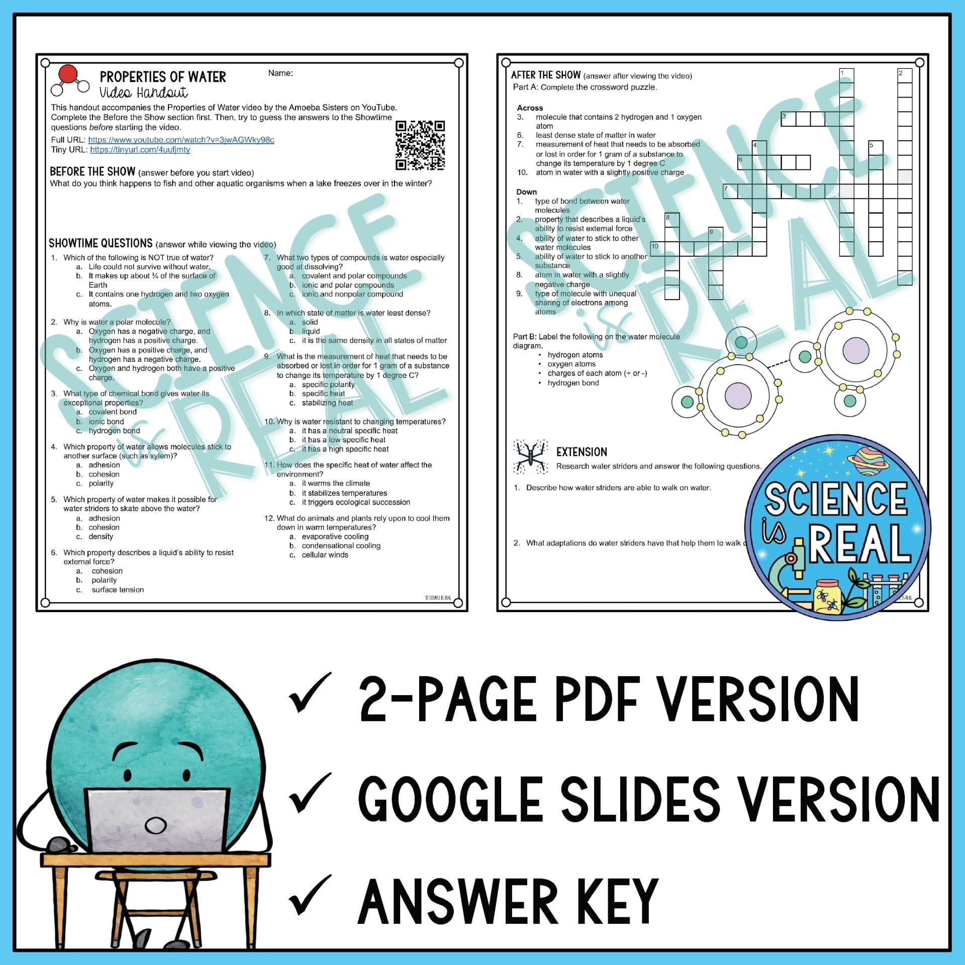 properties of water amoeba sisters video handout