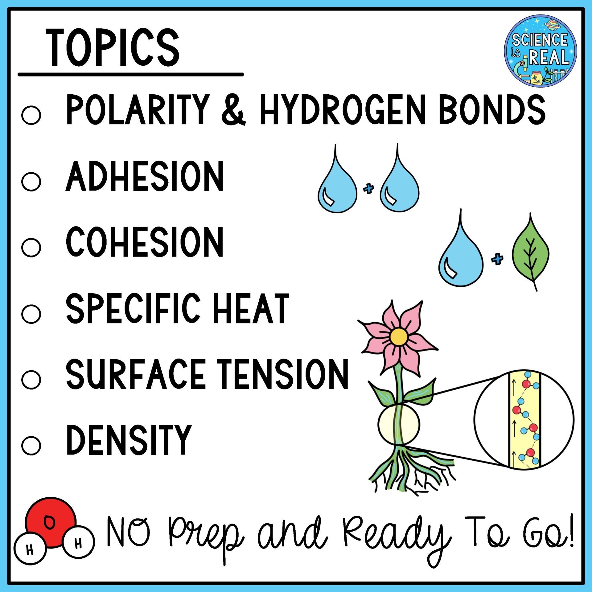 properties of water amoeba sisters video handout
