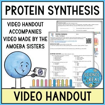 protein synthesis amoeba sisters video handout