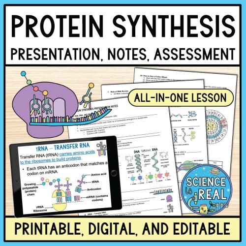 protein synthesis powerpoint
