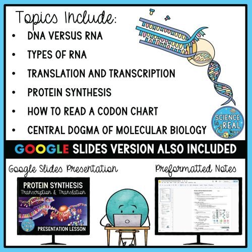protein synthesis powerpoint