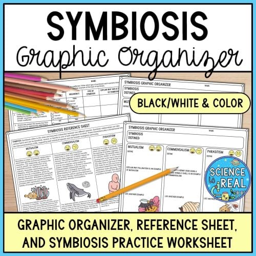 symbiosis graphic organizer
