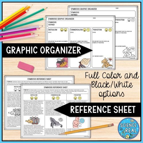 symbiosis graphic organizer
