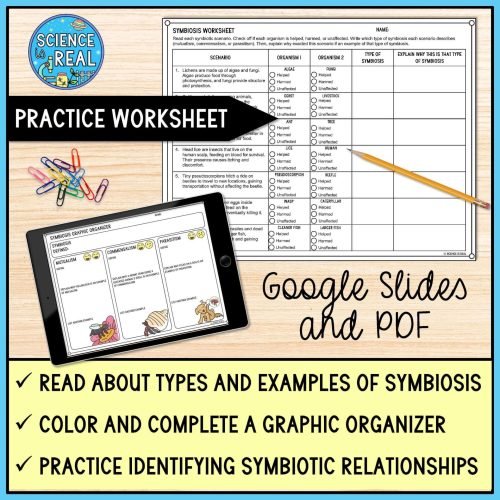 symbiosis graphic organizer
