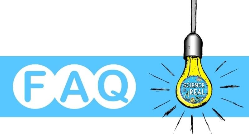 frequently asked questions