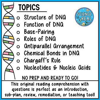 DNA Reading Comprehension and Questions - Image 3