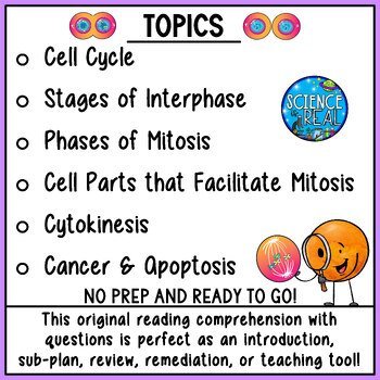 Mitosis Reading Comprehension and Questions - Image 3
