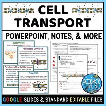 cell transport powerpoint