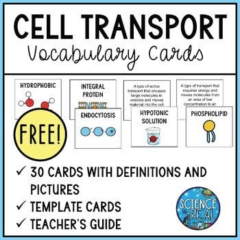 Cell Transport Vocabulary Cards