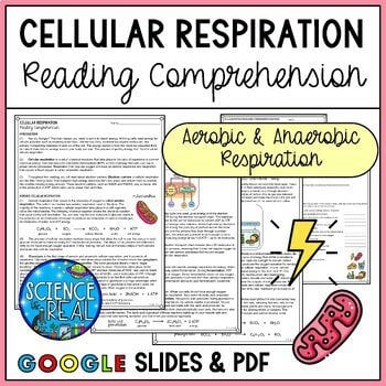 cell respiration reading comprehension