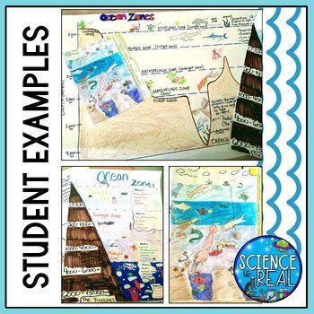 Ocean Zones Poster Project - Layers of the Ocean Project - Image 3